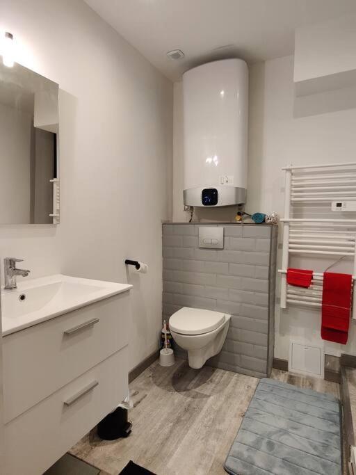 Les Studios De Flo' : The Bel'Factory 38 M² Wifi Belfort Εξωτερικό φωτογραφία